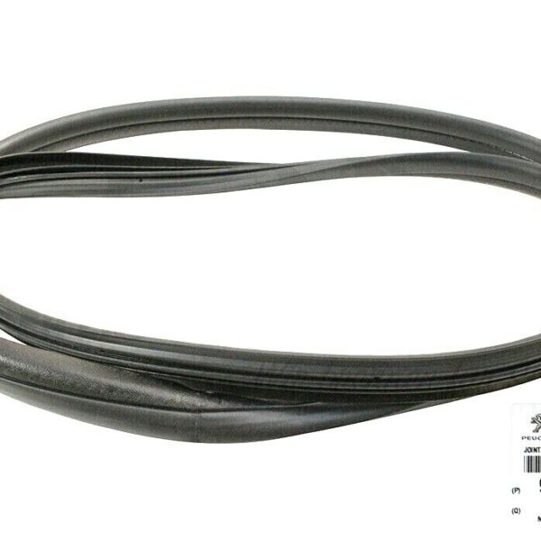 9025AN GUARNIZIONE PORTA POSTERIORE PER CITROEN C1