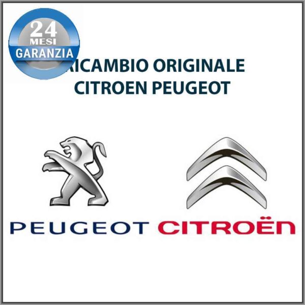 INSO CARTER 7013T7 ORIGINALE